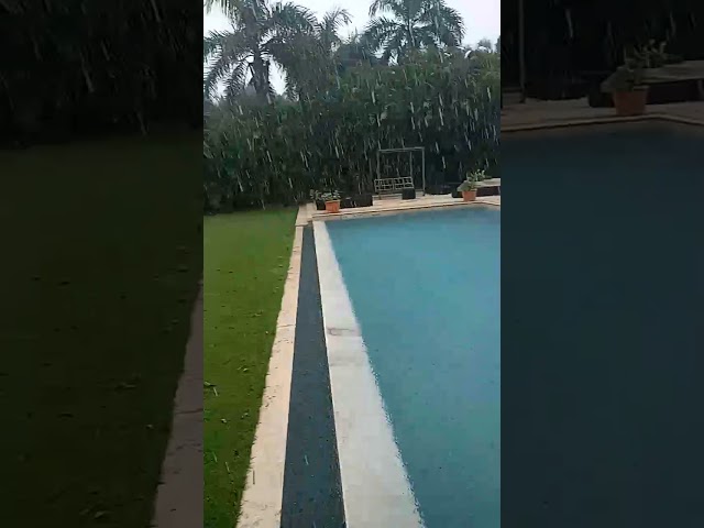 Vídeo relacionado con Jungle Falls: una piscina de lluvia oculta para una vitalidad fresca