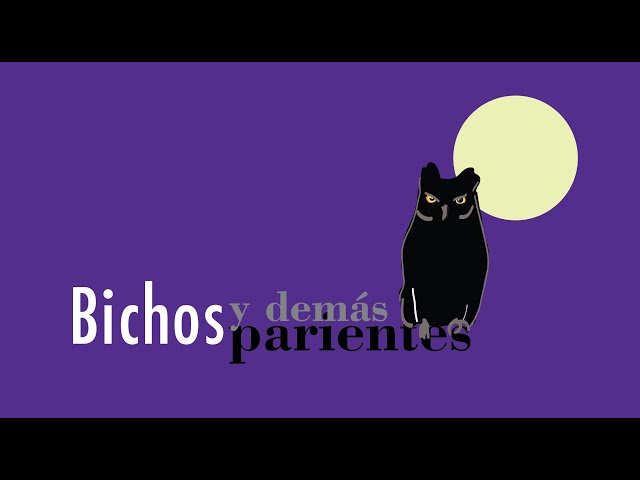 Vídeo relacionado con Bichos y demás parientes (El Libro De Bolsillo - Bibliotecas De Autor - Biblioteca Durrell)