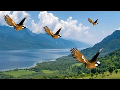 Secret Healing Temple - 🌿Clear All Negative Energy - Ethereal Meditative Ambient Music 23M