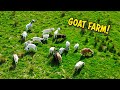 Drone On The Farm Farm Update