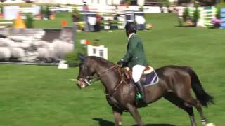 Video koně neznámé