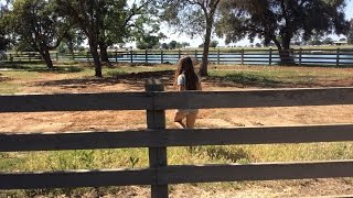 &quot;Black &amp; White&quot; Royal Tailor Fan Music Video