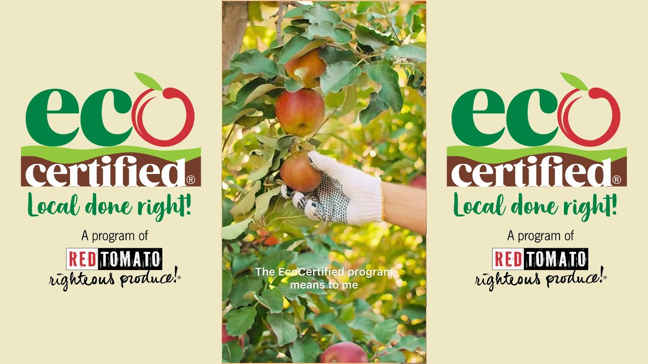 How EcoCertified® Helps Farmers Thrive | Hear from Red Tomato Growers