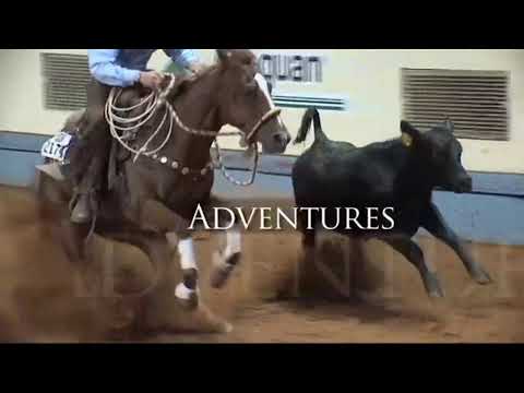 2022 North American Reining Stakes Main Arena Tuesday August 2