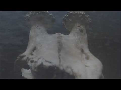 My Silent Wake - Monochrome (Official Lyric Video)