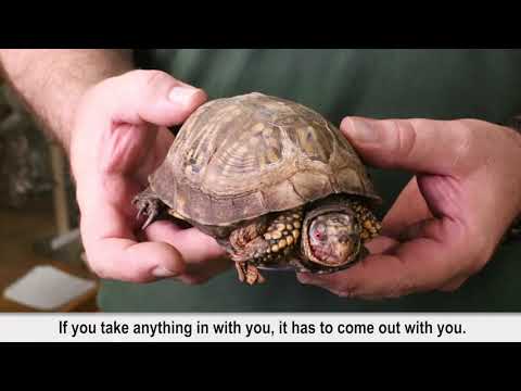 Educational Videos | Hunterdon County, NJ