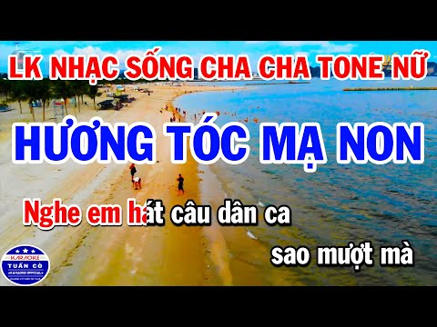 Karaoke Liên Khúc Nhạc Sống Cha Cha Tone Nữ | Hương Tóc Mạ Non | Hình Bóng Quê Nhà