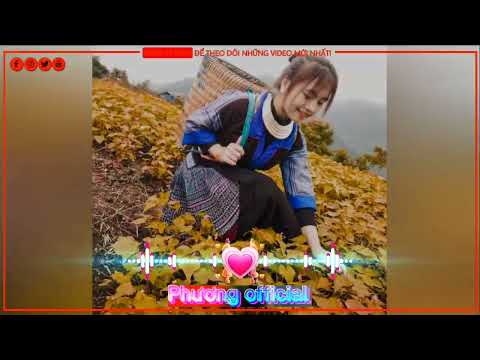 Phương music | Thov Nres Ib Pliag Kuv Qhia Ib Los Rau Koj Mloog thaum nyob ib leeg kua muag poob