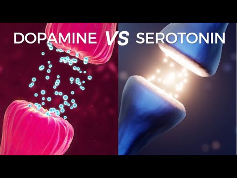 Serotonin Vs Dopamine – Everything Under 10 minutes