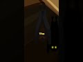 Why Do Bats Sleep Upside Down?