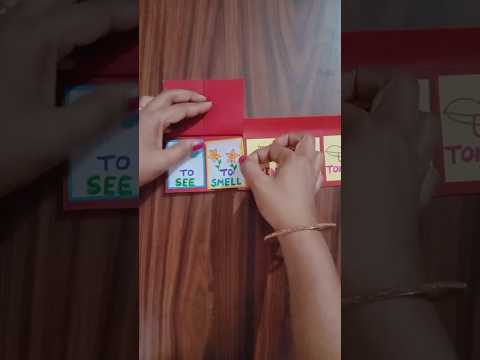 Five Senses Craft