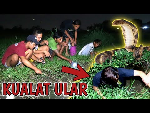 apakah-ini-sahabat-garaga-panji-mancing-belut-ketemu-banyak-ular-dan-j4tuh-k0rb4n-evlog-100
