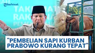 Kritik Kepung Prabowo Buntut Beli Sapi Kurban Pakai Uang APBN, Pengamat: Ini Memang Kurang Tepat Ya