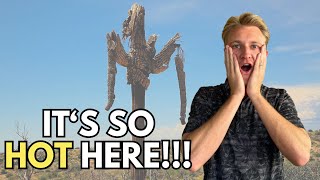 How to SURVIVE and THRIVE in the Phoenix Summer
