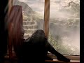 Whatsapp Status Malayalam Songs Malayalam Movie Manichitrathazhu Shobana Mohanlal Suresh Gopi