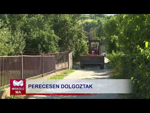 Videó előnézet