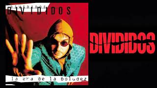 Divididos - Pestaña de Camello (Remasterizado)