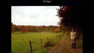 Ulf Lundell - Stockholmstjej igen