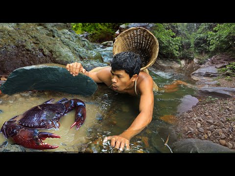 life in jungle - Catch the crab in the mud - Eating Delicious