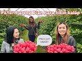 Panen Bareng Dian Bara Bikin Kalap