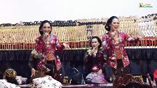 Download lagu Wayang di PT. MTU. Ki Jalu Tomo Pandoyo - Apri Mimin dkk. Lakon Banjaran Dosomuko. Recd mp3 Download lagu Wayang di PT. MTU. Ki Jalu Tomo Pandoyo - Apri Mimin dkk. Lakon Banjaran Dosomuko. Recd mp3
