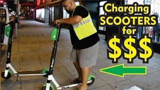 How much we made CHARGING LIME SCOOTERS in one day!