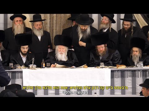 ישראל אדלר "גראמען" בשמחת השבע ברכות לנכדת האדמו"ר מגור |  Yisroel Adler - Ger Sheva Brachos 2022