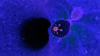 Born Dirty &amp; Diplo - Samba Sujo (Felix Da Housecat &amp; Dave The Hustler Remix) [Official Full Stream]