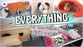 The BEST Cage Accessories for Guinea Pigs!