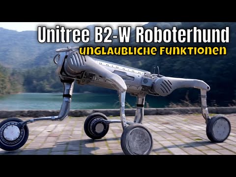 Unitree B2 Review Video 4