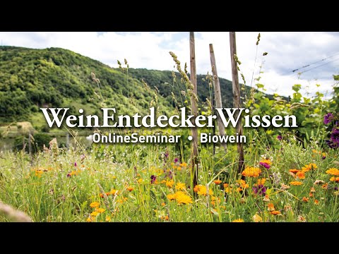 🌿🍇 Biowein 🌿🍇 – WeinEntdeckerWissen OnlineSeminar