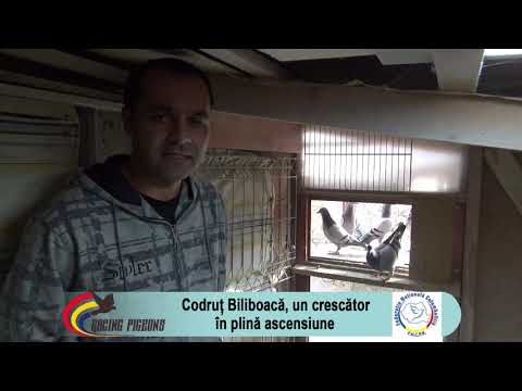 Codruț Biliboacă, un crescător în plină ascensiune