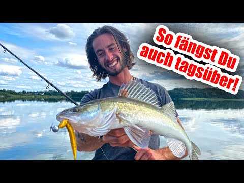 Catching zander during the day - 6 simple tips for instant success!