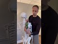 How To Treat Muscle Knots Under Your Shoulder Blade Shorts Shoulderpain