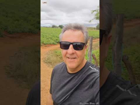 UM GIRO DE 360° NO SÍTIO GINETE - PARAÍBA/PB 🌳
