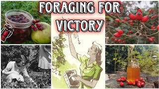 The Hedgerow Harvest - The Wild Food & Medicine Of WW2 🥗