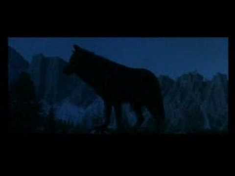 Sorrow Has a Human Heart