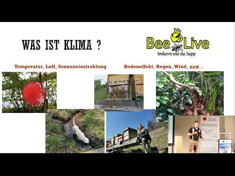 Mein Klima Vortrag mit Bonus Matterial