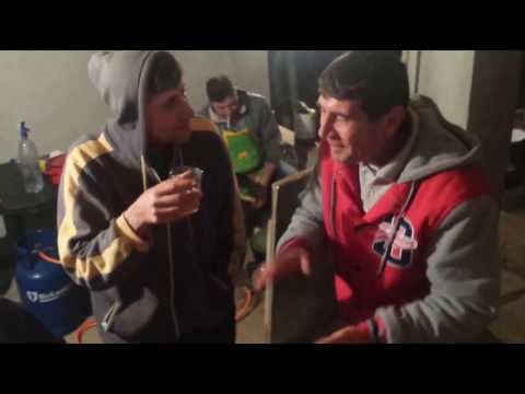 Cascioarele,calarasi 2016