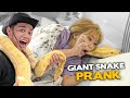 GIANT SNAKE PRANK sa BG HOUSE - AWAY NA 'TO!