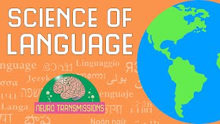 The Neuroscience of Language