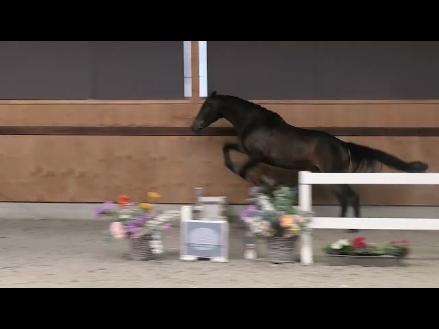 jumping