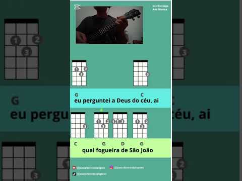 Funk Baião - Jeca e Javalis do Brejo