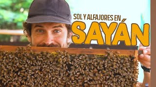 Sayan la tierra del eterno sol. Viaja y prueba probándolo todo, si alfajores también!