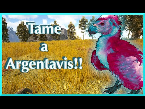 Ark Argentavis Taming Trap