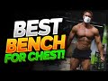 What is the Best Bench to Build A Killer Chest?