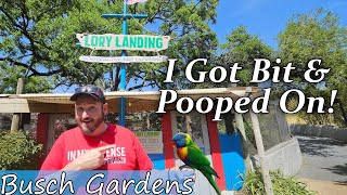 This Bird Bit Me and Pooped on Me at Busch Gardens, Lory Landing