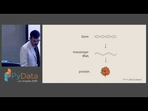 Manu Flores: Analyzing Genetic Networks Using Neural Networks | Pydata LA 2019
