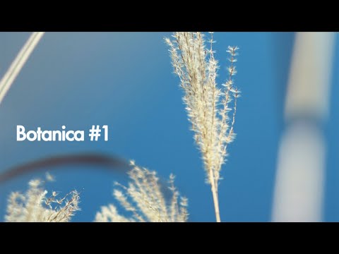 Botanica - grass type music that makes you feel warm | #1