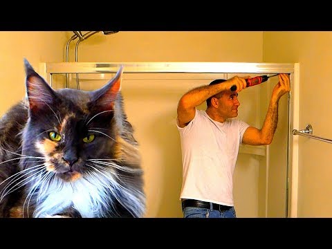 How To INSTALL Framed Sliding BATHTUB SHOWER DOORS (Franklin Brass DIY Assemble Guide Home Depot)